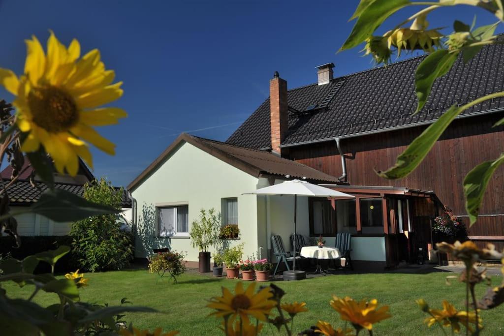 Ferienwohnung Nachtigall Burg  Bagian luar foto